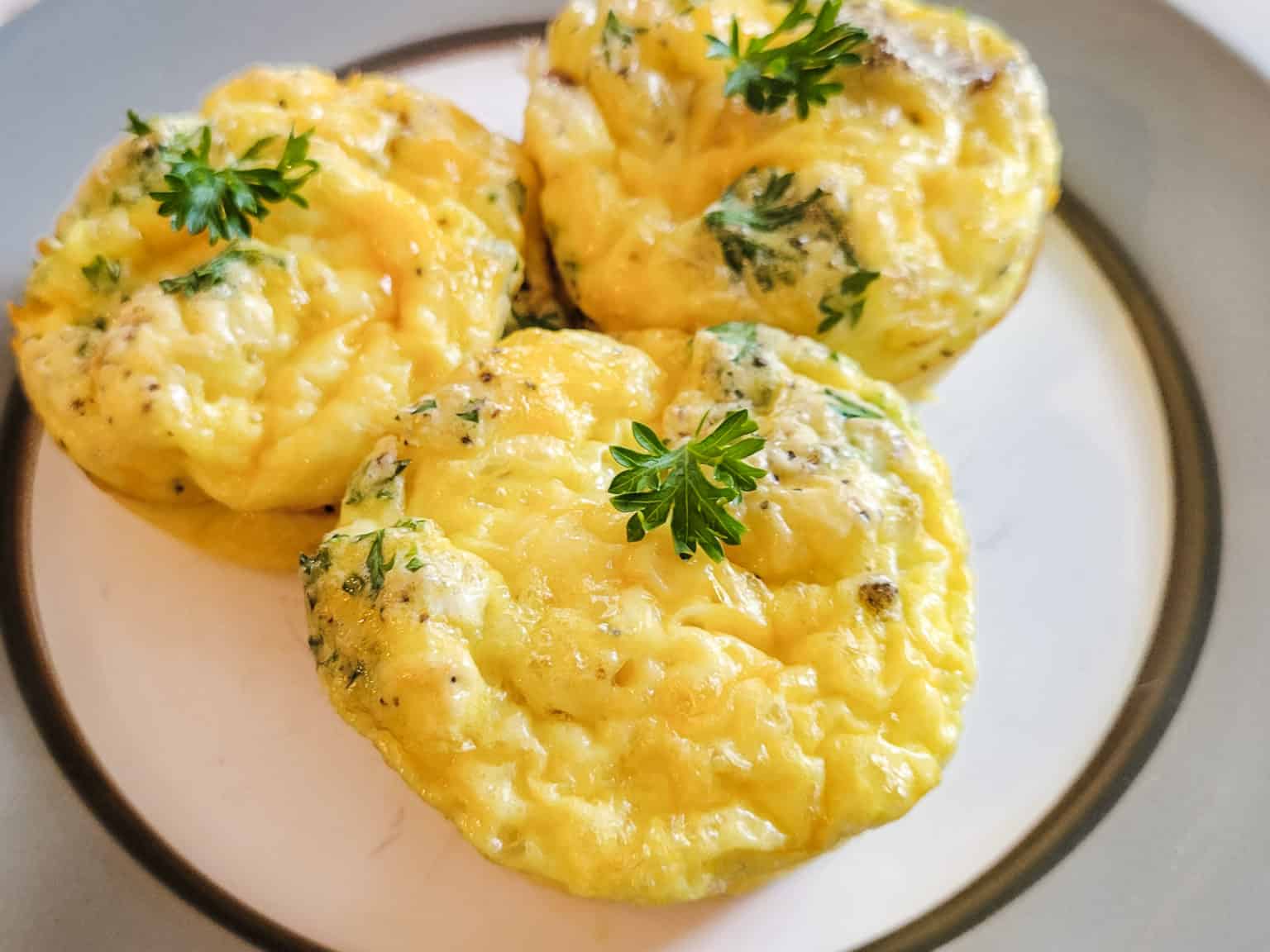 Egg Bites With Bacon & Cheese Parks Elevated Design