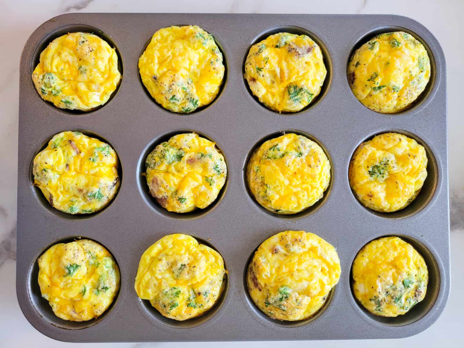 Egg Bites With Bacon & Cheese Parks Elevated Design