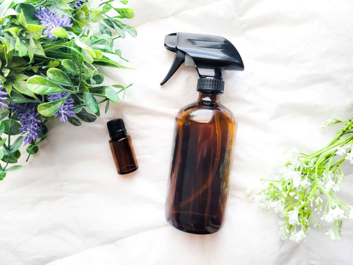 How To Make DIY Eucalyptus Shower Spray For Congestion Parks Elevated Design